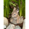 Accent Plus Stone-Look Bunny Garden Sculpture