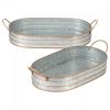 Accent Plus Galvanized Metal Oblong Tray Set