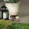 Songbird Valley Squirrel's Tail Bird Feeder