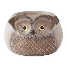 Accent Plus Owl Garden Planter with Solar Light-Up Eyes