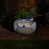 Accent Plus Owl Garden Planter with Solar Light-Up Eyes