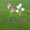 Lily Multi-Changing LED Lights - Solar Garden Stake Lights